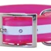 SunGlo 1.5″ Wide Reflective Collars -UPCO Popular Shop 104D RFPK21BLR
