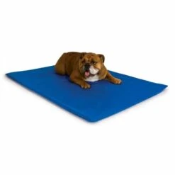 Cool Bed III® Cooling Mat For Dogs – Medium