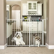 Maxi Extra Tall Walk-Thru Gate With Pet Door – 38″High