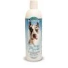 Bio-Groom Crisp Apple Shampoo – 12 Oz -UPCO Popular Shop 28112