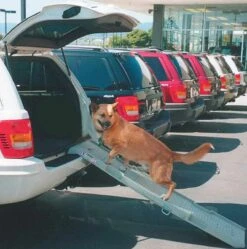 Petstep Ramp (Comes Direct From Manufacturer Takes 2 To 4 Weeks)