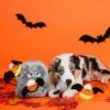 ZippyPaws Halloween Spooky Gravestone Dog Toy -UPCO Popular Shop 6016180