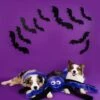 ZippyPaws Grunterz Large Purple Spider Dog Toy