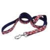 Nylon Ribbon Leash 1″wide 6’long