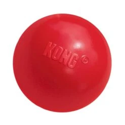 KONG® Ball With Treat Hole Dog Toy Med/Large 3″