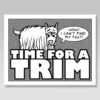 Grooming Reminder Cards – Package Of 100 – Time For A Trim -UPCO Popular Shop 8743
