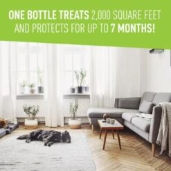 Adams Plus Flea & Tick Carpet Spray Aerosol 16 Oz -UPCO Popular Shop Adams Carpet Spray INFO2