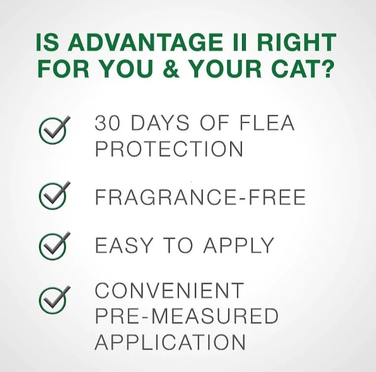 Bayer Advantage II Flea Spot-On For Medium Dogs 11-20 Lbs 6 Pack 5 Bayer Advantage II Flea Spot-On For Medium Dogs 11-20 Lbs 6 Pack - Image 3
