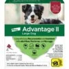Bayer Advantage II Flea Spot-On For Large Dogs 21-55 Lbs 4 Pack -UPCO Popular Shop Advantage II LG 4 Pack WEB
