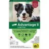 Bayer Advantage II Flea Spot-On For Large Dogs 21-55 Lbs 6 Pack -UPCO Popular Shop Advantage II LG 6 Pack WEB