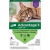 Advantage II Flea Spot-On Treatment For Large Cats Over 9 Lbs 6 Pack -UPCO Popular Shop Advantage II Large Cat 6 Pack WEB