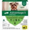 Bayer Advantage II Flea Spot-On For Small Dogs 3-10 Lbs 4 Pack 2 Bayer Advantage II Flea Spot-On For Small Dogs 3-10 Lbs 4 Pack -UPCO Popular Shop Advantage II Sm 4 Pack WEB