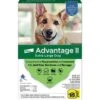 Bayer Advantage II Flea Spot-On For X-Large Dogs Over 55 Lbs 6 Pack -UPCO Popular Shop Advantage II XL 6 Pack WEB