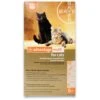Bayer Advantage Multi Topical Solution For Cats 5.1-9 Lbs 6 Pack -UPCO Popular Shop Advantage Multi for Cats 5 9 lbs 6 pk