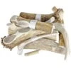 Real Antler Sheds For Dogs -UPCO Popular Shop Antlers Group WEB
