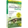 Vetality Avantect II Small Dog Flea Spot-On 4-10 Lbs, 4 Doses -UPCO Popular Shop Avantec II Small Dog 4 Ct WEB