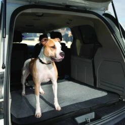 Bergan Auto Cargo Floor Protector