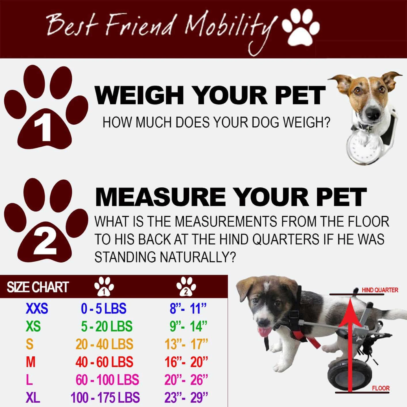 Best Friend Mobility Dog Wheelchair 4 Best Friend Mobility Dog Wheelchair - Image 2