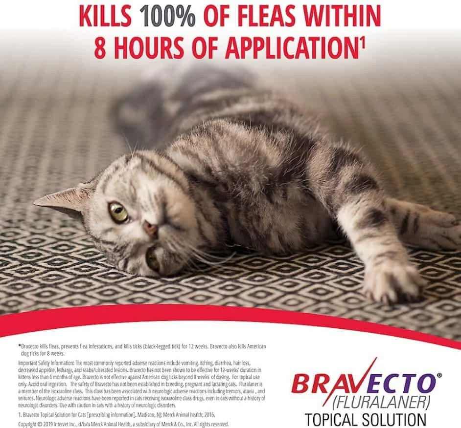 Bravecto Topical Solution For Cats 6.2-13.8 Lb 5 Bravecto Topical Solution For Cats 6.2-13.8 Lb - Image 3