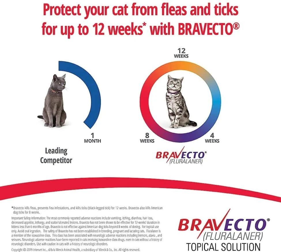 Bravecto Topical Solution For Cats 6.2-13.8 Lb 4 Bravecto Topical Solution For Cats 6.2-13.8 Lb - Image 2
