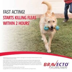 Bravecto Chewable Flea & Tick Preventative For Dogs 44-88 Lb -UPCO Popular Shop Bravecto Chew INFO 1