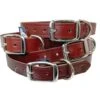 Latigo Brown/Red Leather Dog Collar Large 1″ -UPCO Popular Shop Brown Leather 1 inch wide Collars WEB