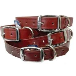 Latigo Brown/Red Leather Dog Collar Large 1″