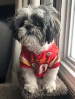 Kansas City Chiefs NFL Dog Jersey -UPCO Popular Shop Chiefs Jersey 4