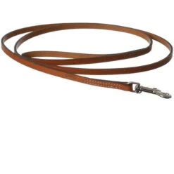 Coastal Circle-T Leash – Flat 48″ L