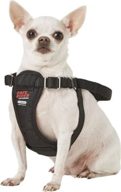 Coastal Easy Rider Car Harness For Dogs X-Small -UPCO Popular Shop Coastal Easy Rider Car Harness3