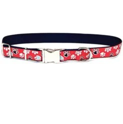 Coastal Nylon Ribbon Collar 5/8″ -UPCO Popular Shop Coastal Nylon Ribbon Collar Red Paws