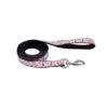 Coastal Styles Nylon Ribbon Dinosaur Leash -UPCO Popular Shop Coastal Styles Dino Leash