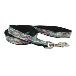 Coastal Styles Nylon Ribbon Donuts Leash