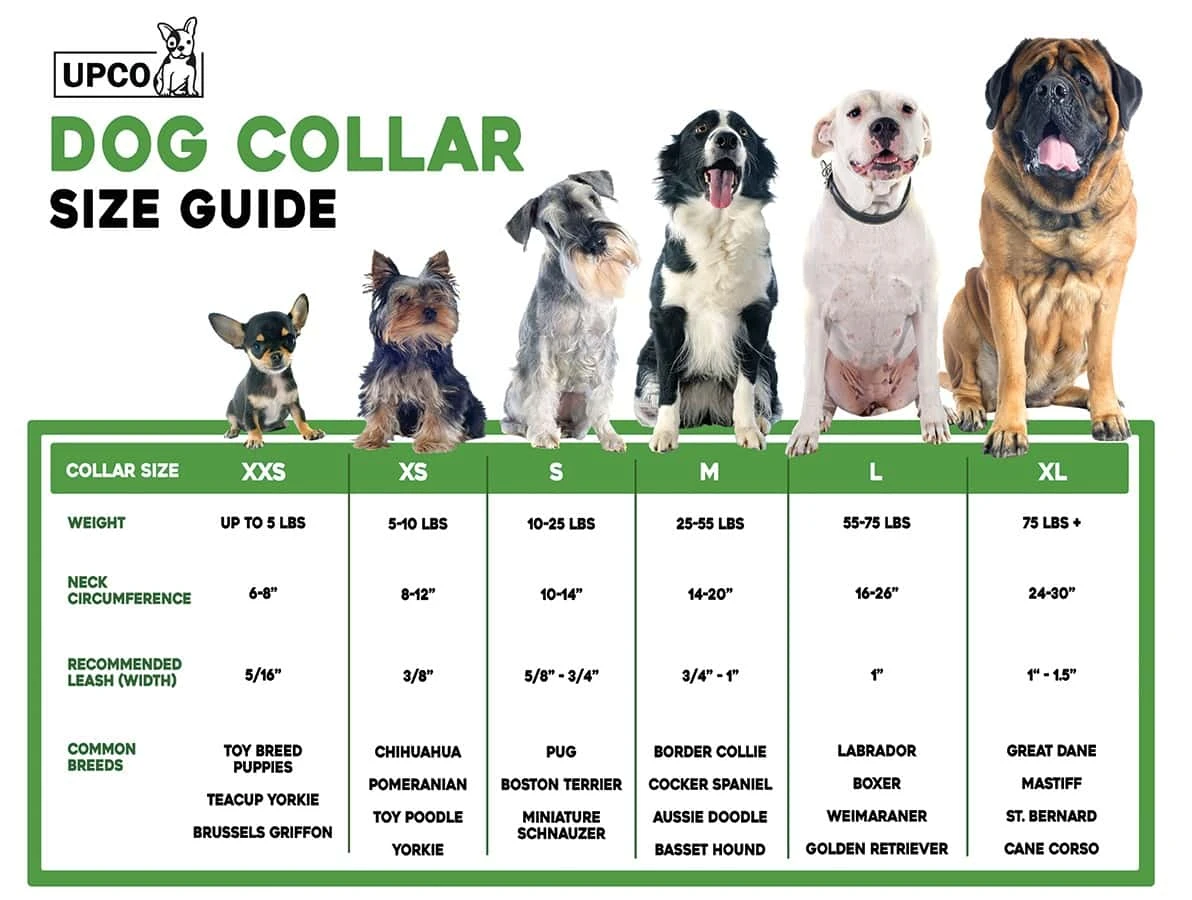 OmniPet Signature Leather Crystal Pet Collar 4 OmniPet Signature Leather Crystal Pet Collar - Image 2