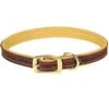 Deer Tan Leather Dog Collar -UPCO Popular Shop Deer Tan Leather Collar WEB