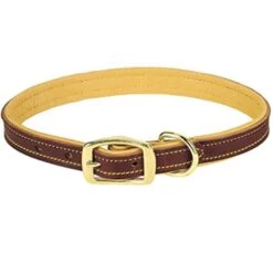 Deer Tan Leather Dog Collar