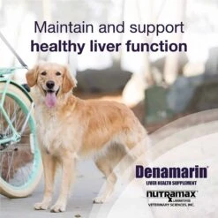 Denamarin Liver Health Supplement For Large Dogs 35 Lbs+ 30 Ct -UPCO Popular Shop Denamarin INFO