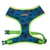 Beast & Buckle Dinosaur Dog Harness 1 Beast & Buckle Dinosaur Dog Harness -UPCO Popular Shop Dino Harness
