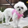 Doggie Design Pink Polka Dot Harness -UPCO Popular Shop Doggie Design Polka Dot Harness Pink3