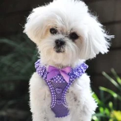 Doggie Design Purple Polka Dot Harness