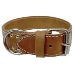Extra Heavy Leather Dog Collar