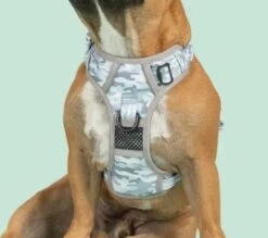 Big & Little Dogs Grey Camo Dog Harness -UPCO Popular Shop GC Harness2