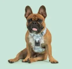 Big & Little Dogs Grey Camo Dog Harness -UPCO Popular Shop GC Harness3