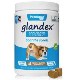 Glandex® Anal Gland Soft Chew Supplement For Dogs 120 Ct