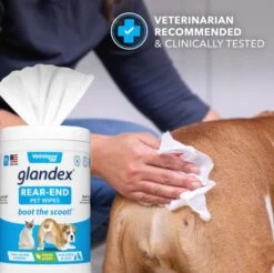 Glandex® Rear-End Pet Wipes 75 Ct -UPCO Popular Shop Glandex Rear End Wipes 5
