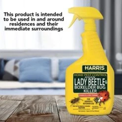 Harris Home Pest Control Asian Lady Beetle And Box Elder Killer Gallon -UPCO Popular Shop Harris Asian Lady Beetle INFO2