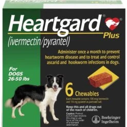 Boehringer Ingelheim Heartgard Plus Soft Chews For Dogs Up To 26-50 Lbs 6 Pack
