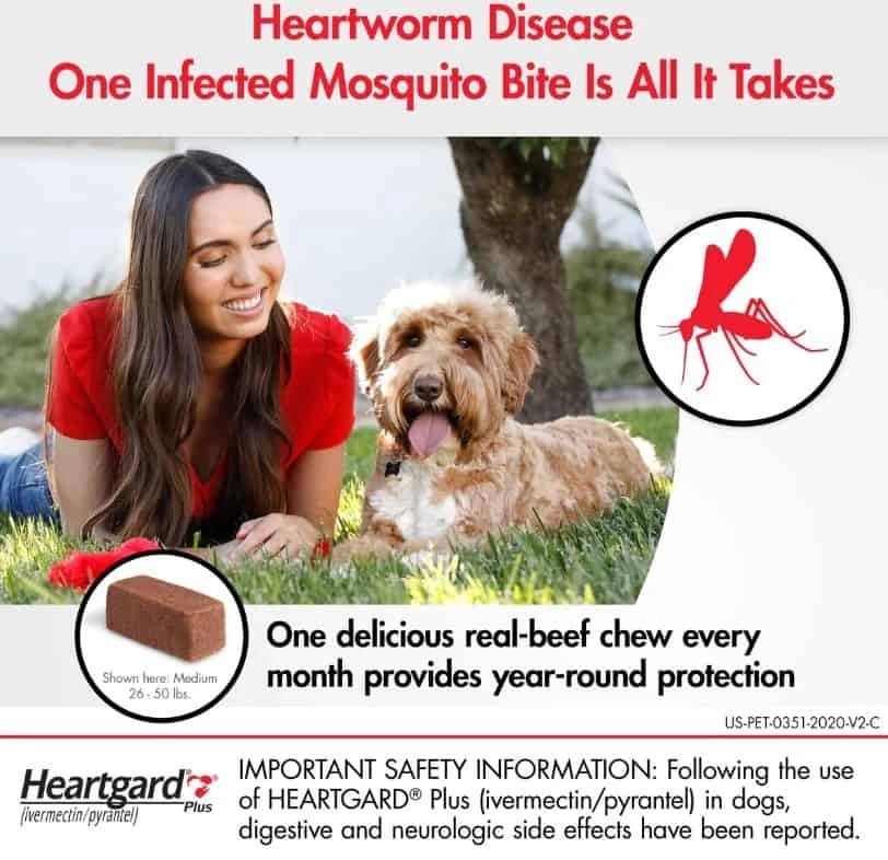 Boehringer Ingelheim Heartgard Plus Soft Chews For Dogs Up To 26-50 Lbs 6 Pack 5 Boehringer Ingelheim Heartgard Plus Soft Chews For Dogs Up To 26-50 Lbs 6 Pack - Image 3