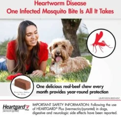 Boehringer Ingelheim Heartgard Plus Soft Chews For Dogs Up To 51-100 Lbs 6 Pack -UPCO Popular Shop Heartgard INFO