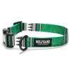 Wolfgang High Plains Green Dog Collar -UPCO Popular Shop High Plains Dog Collar